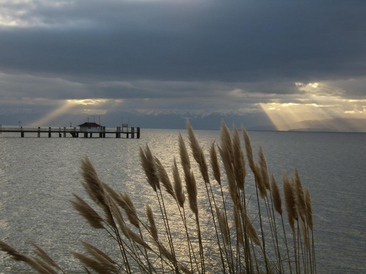 Strandhaus Eberle อิมเมนชตาด อัม โบเดนเซ ภายนอก รูปภาพ